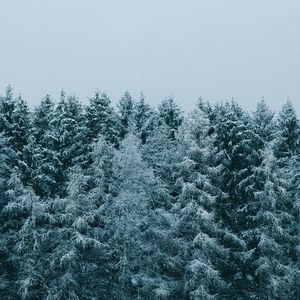 Meet your Posher, Jude